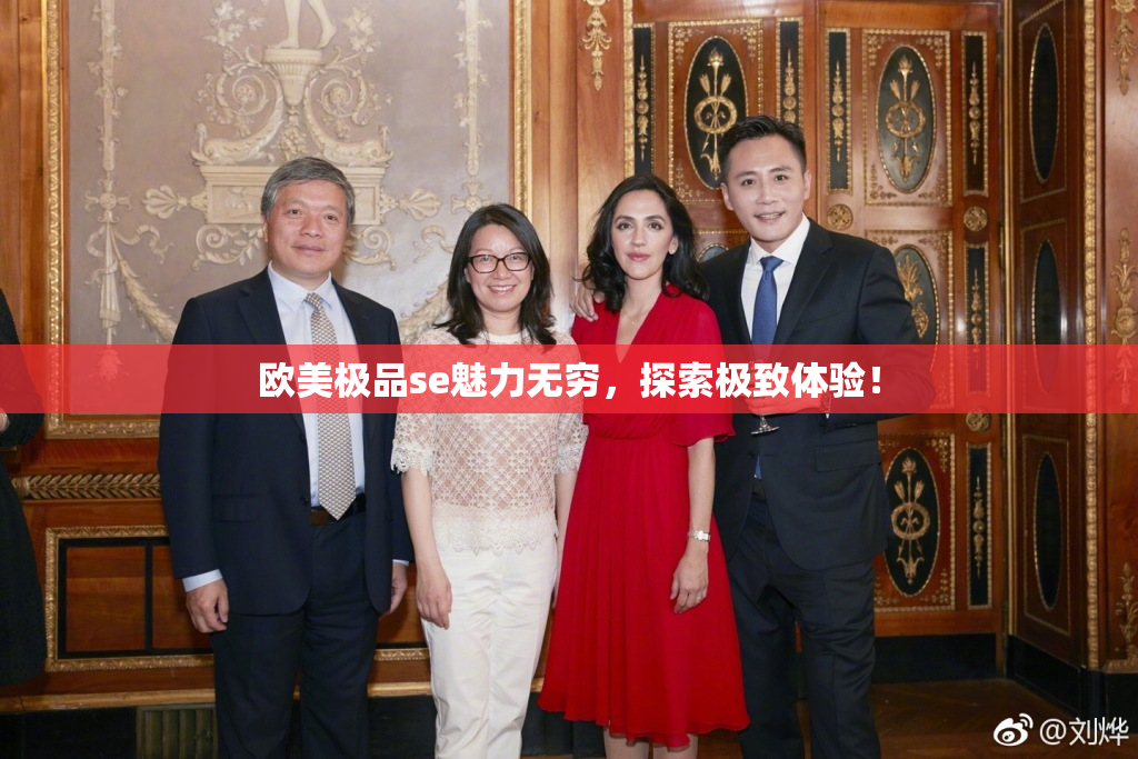 欧美极品se魅力无穷，探索极致体验！