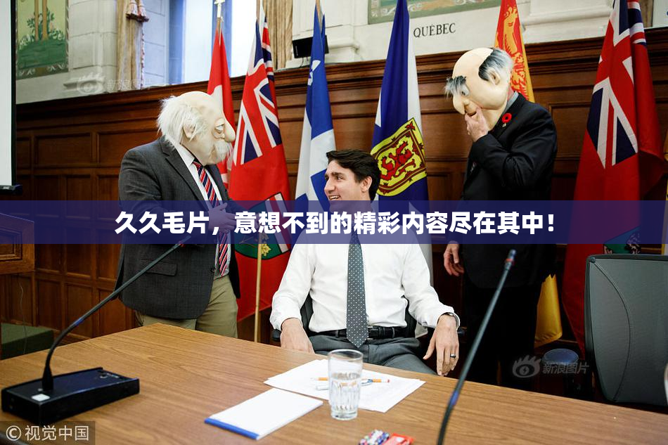久久毛片，意想不到的精彩内容尽在其中！