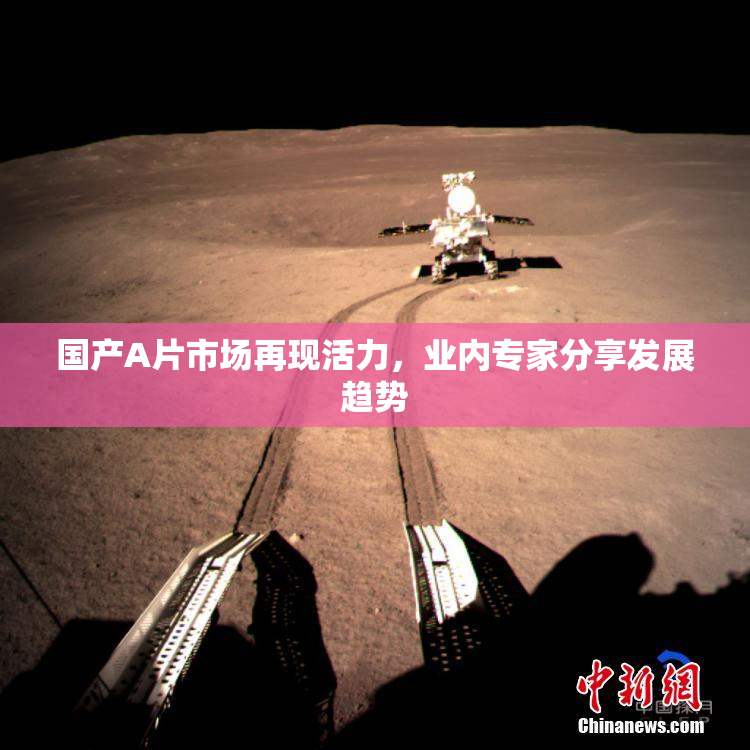 国产A片市场再现活力，业内专家分享发展趋势