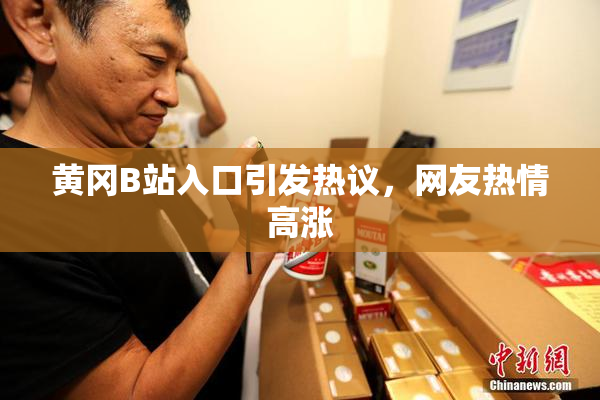 黄冈B站入口引发热议，网友热情高涨