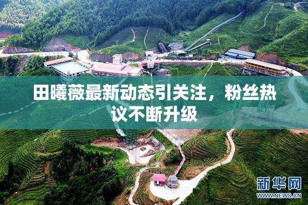 田曦薇最新动态引关注，粉丝热议不断升级