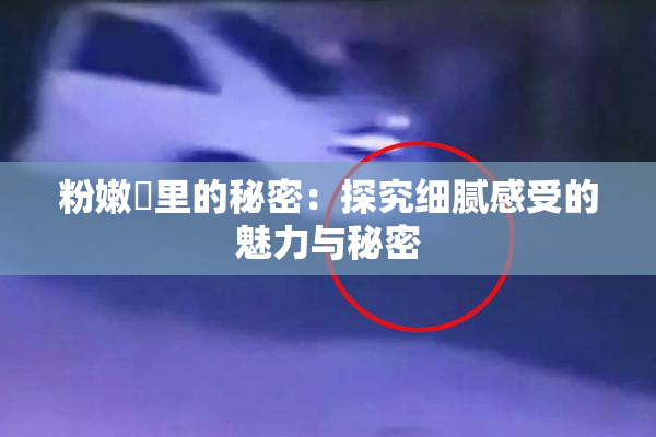 粉嫩泬里的秘密：探究细腻感受的魅力与秘密