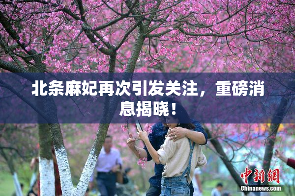 北条麻妃再次引发关注，重磅消息揭晓！