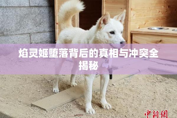 焰灵姬堕落背后的真相与冲突全揭秘
