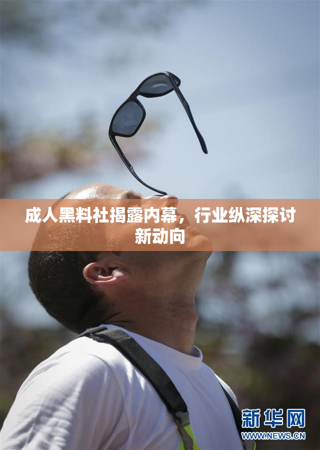 成人黑料社揭露内幕，行业纵深探讨新动向