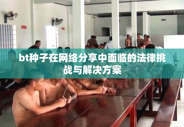 bt种子在网络分享中面临的法律挑战与解决方案