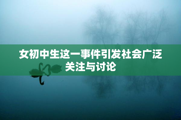 女初中生这一事件引发社会广泛关注与讨论