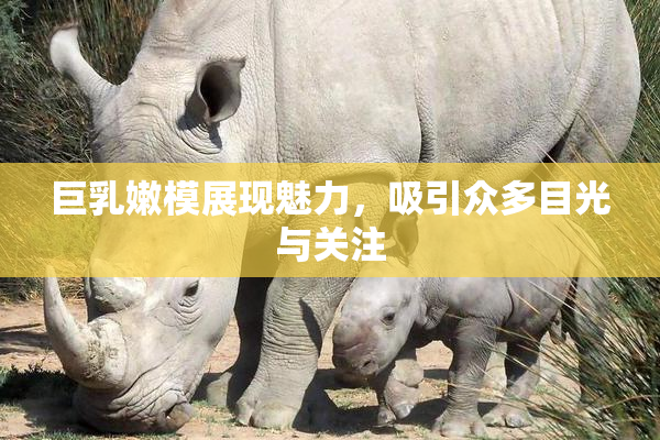 巨乳嫩模展现魅力，吸引众多目光与关注