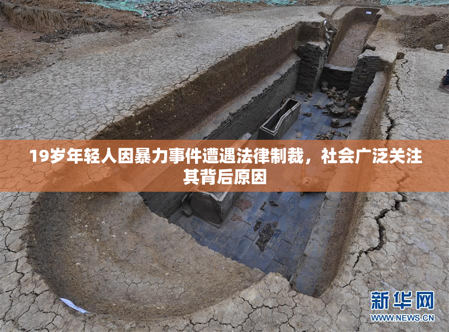 19岁年轻人因暴力事件遭遇法律制裁，社会广泛关注其背后原因