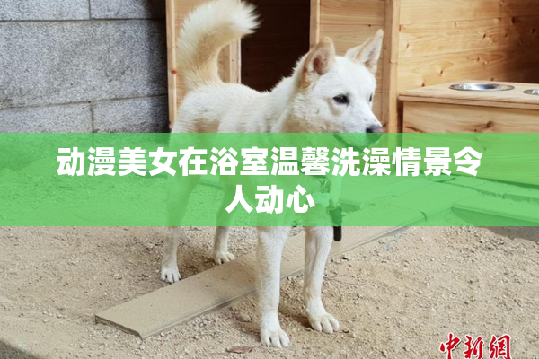 动漫美女在浴室温馨洗澡情景令人动心