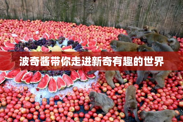 波奇酱带你走进新奇有趣的世界