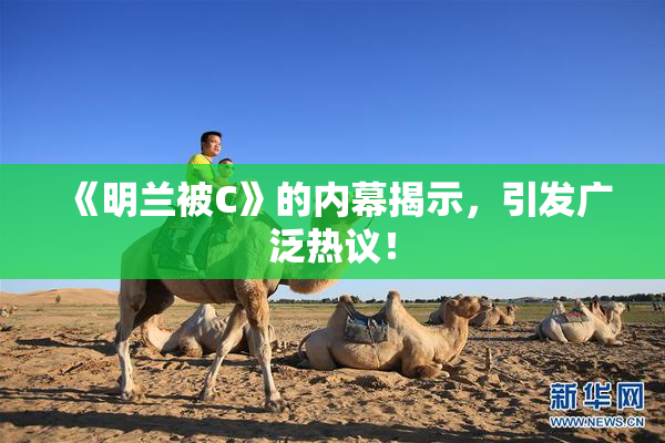 《明兰被C》的内幕揭示，引发广泛热议！