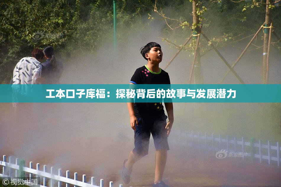 工本口子库福：探秘背后的故事与发展潜力