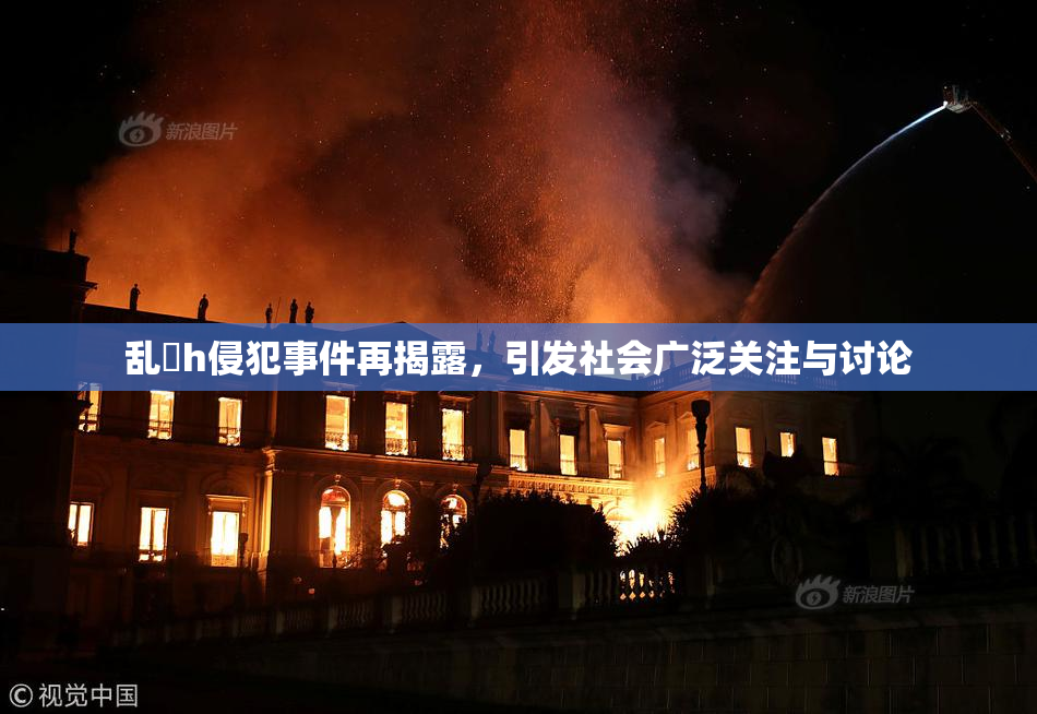 乱婬h侵犯事件再揭露，引发社会广泛关注与讨论