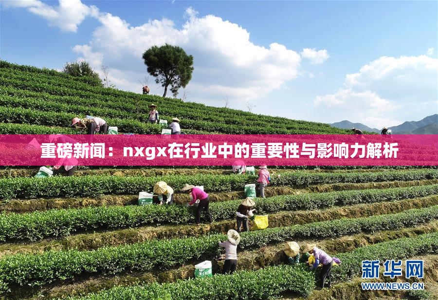 重磅新闻：nxgx在行业中的重要性与影响力解析