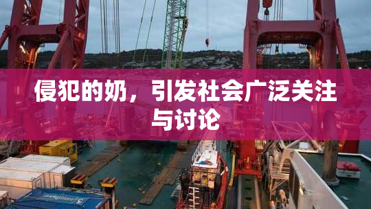 侵犯的奶，引发社会广泛关注与讨论