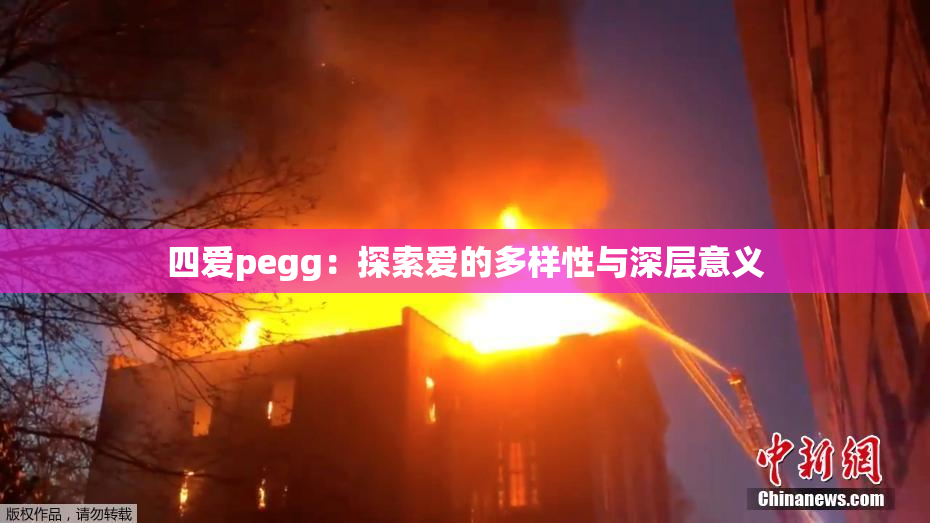四爱pegg：探索爱的多样性与深层意义
