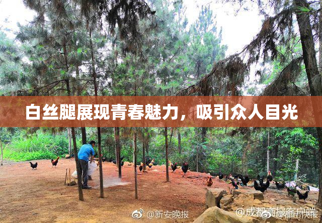 白丝腿展现青春魅力，吸引众人目光