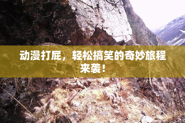动漫打屁，轻松搞笑的奇妙旅程来袭！