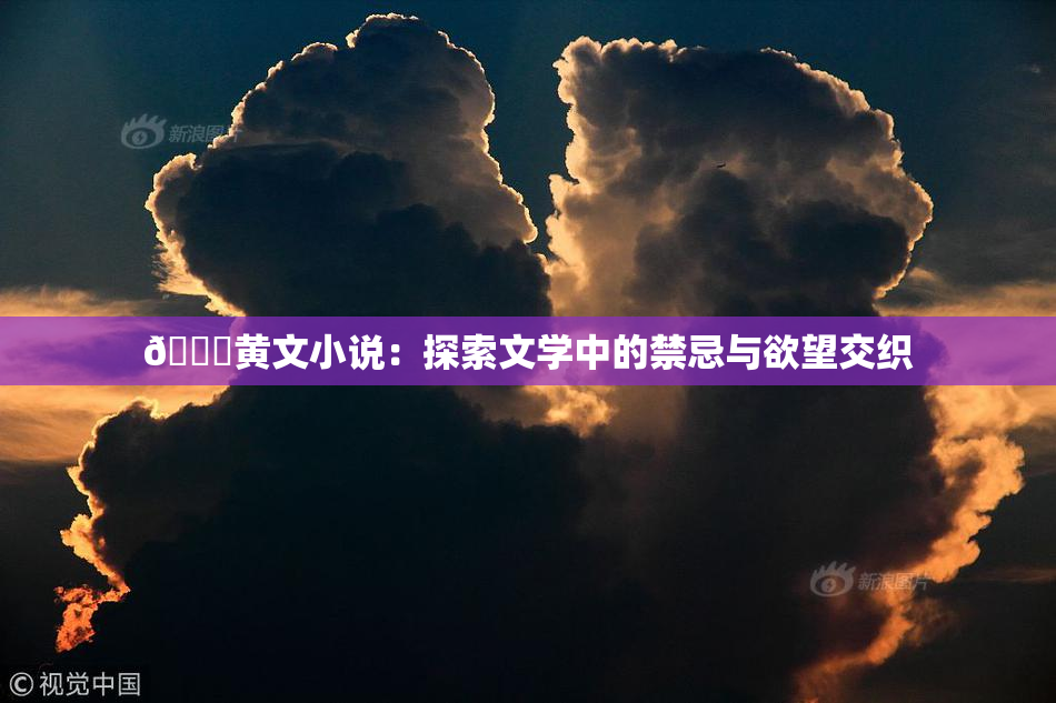 🔞黄文小说：探索文学中的禁忌与欲望交织