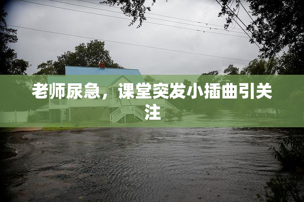 老师尿急，课堂突发小插曲引关注