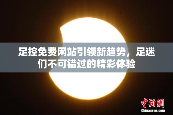 足控免费网站引领新趋势，足迷们不可错过的精彩体验