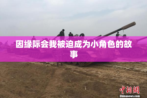 因缘际会我被迫成为小角色的故事