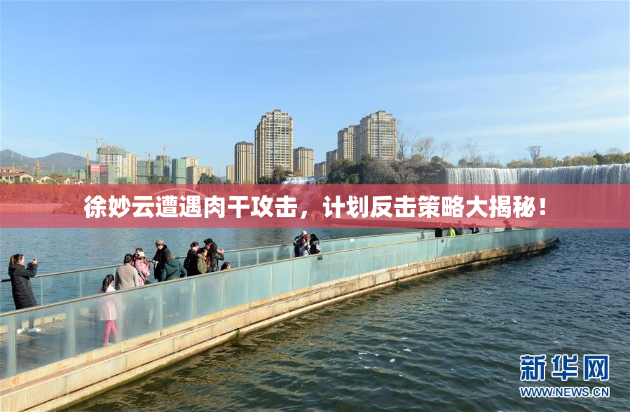 徐妙云遭遇肉干攻击，计划反击策略大揭秘！