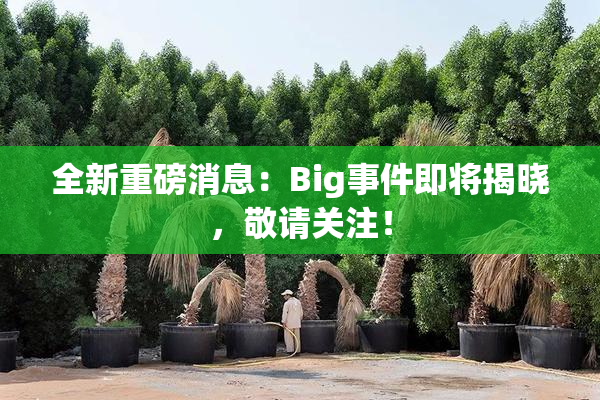 全新重磅消息：Big事件即将揭晓，敬请关注！