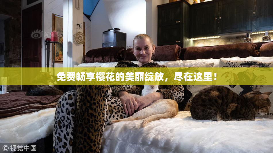 免费畅享樱花的美丽绽放，尽在这里！