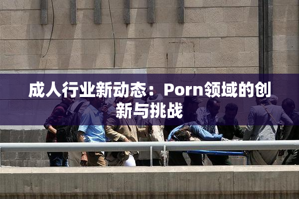 成人行业新动态：Porn领域的创新与挑战