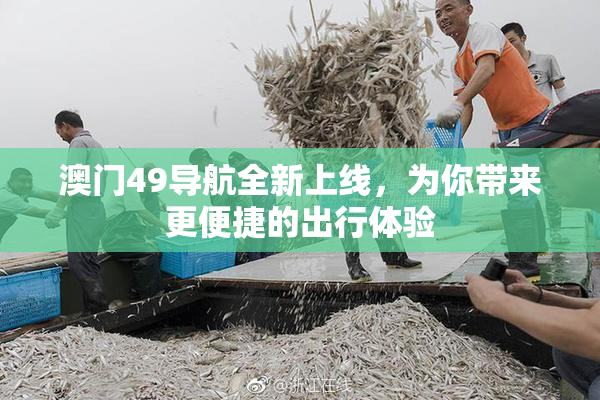 澳门49导航全新上线，为你带来更便捷的出行体验