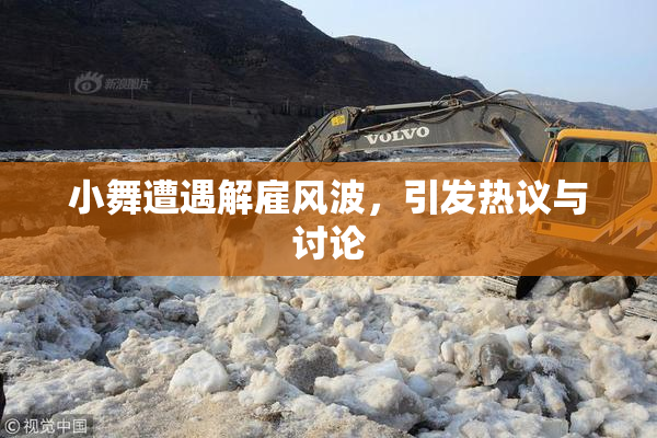 小舞遭遇解雇风波，引发热议与讨论