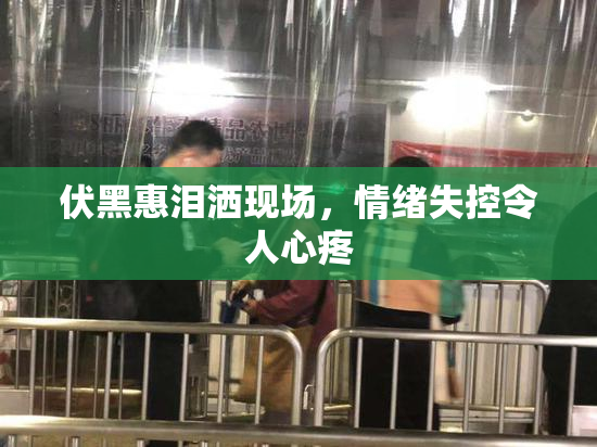 伏黑惠泪洒现场，情绪失控令人心疼