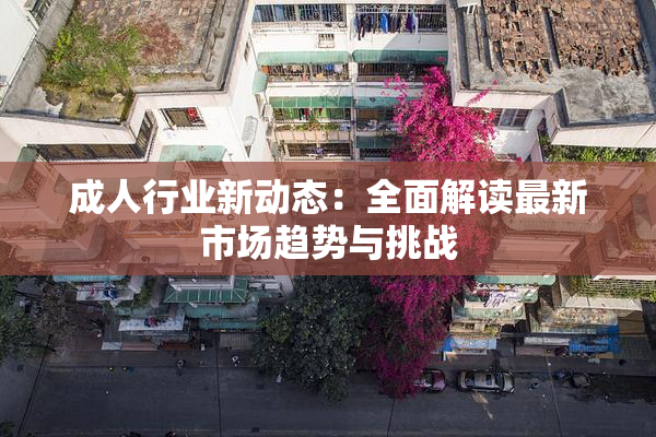 成人行业新动态：全面解读最新市场趋势与挑战