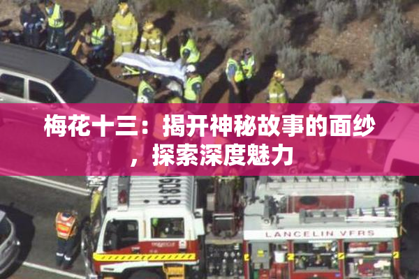 梅花十三：揭开神秘故事的面纱，探索深度魅力