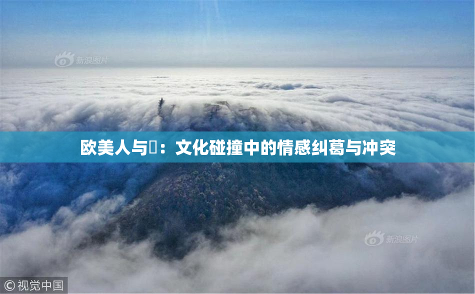 欧美人与嘼：文化碰撞中的情感纠葛与冲突