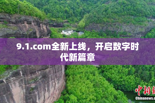 9.1.com全新上线，开启数字时代新篇章