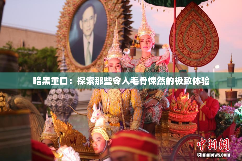 暗黑重口：探索那些令人毛骨悚然的极致体验