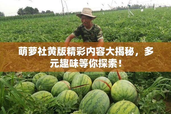 萌萝社黄版精彩内容大揭秘，多元趣味等你探索！