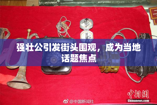 强壮公引发街头围观，成为当地话题焦点