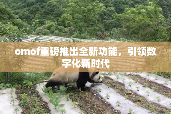 omof重磅推出全新功能，引领数字化新时代