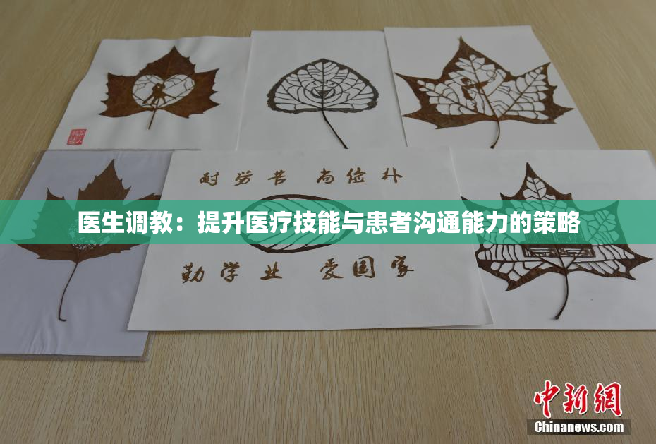 医生调教：提升医疗技能与患者沟通能力的策略