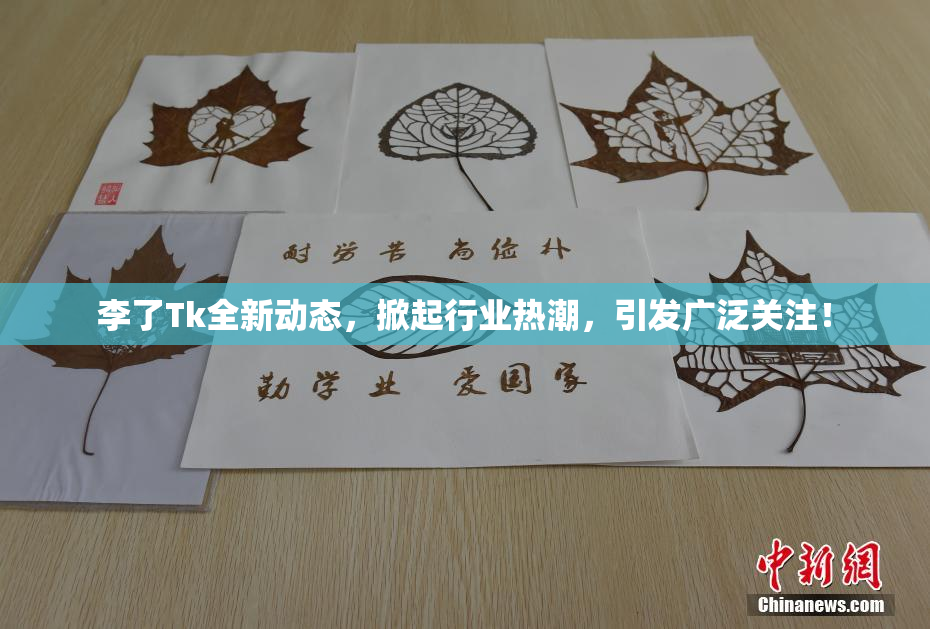 李了Tk全新动态，掀起行业热潮，引发广泛关注！