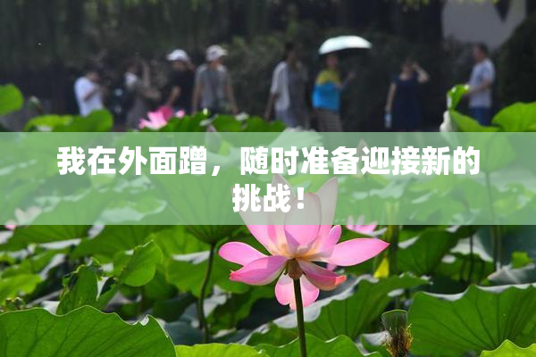 我在外面蹭，随时准备迎接新的挑战！