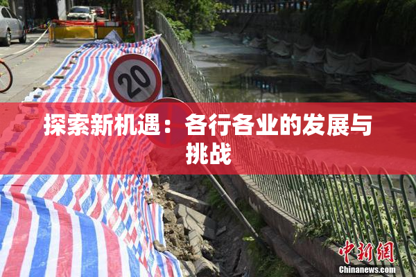 探索新机遇：各行各业的发展与挑战