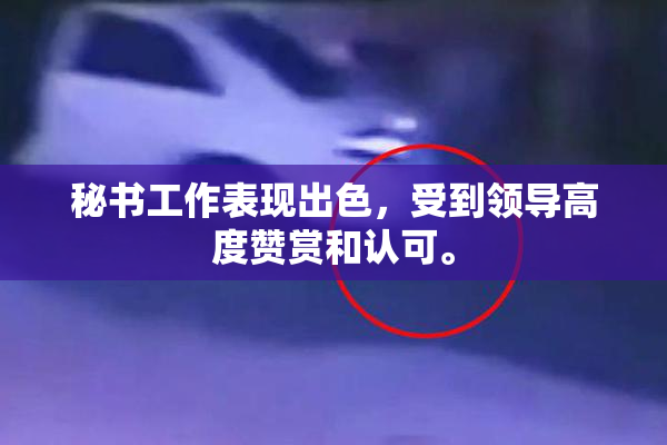 秘书工作表现出色，受到领导高度赞赏和认可。
