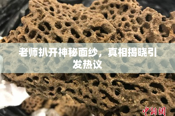 老师扒开神秘面纱，真相揭晓引发热议