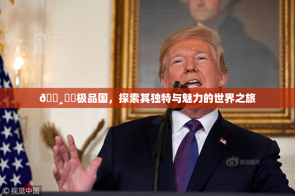 🌸‌✿极品国，探索其独特与魅力的世界之旅