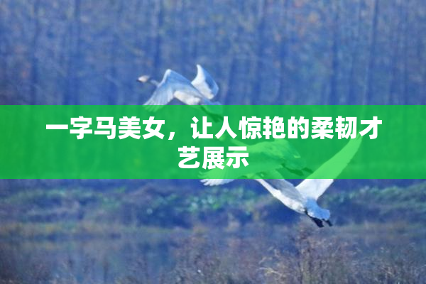 一字马美女，让人惊艳的柔韧才艺展示